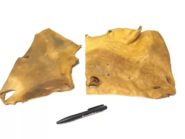 Runder Kophuidplaat Xl | The Dog Lounge Shop