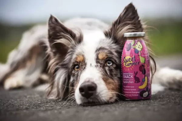 Limited Edition Sweet Summer (Konijn) | Smoothiedog Best Sale