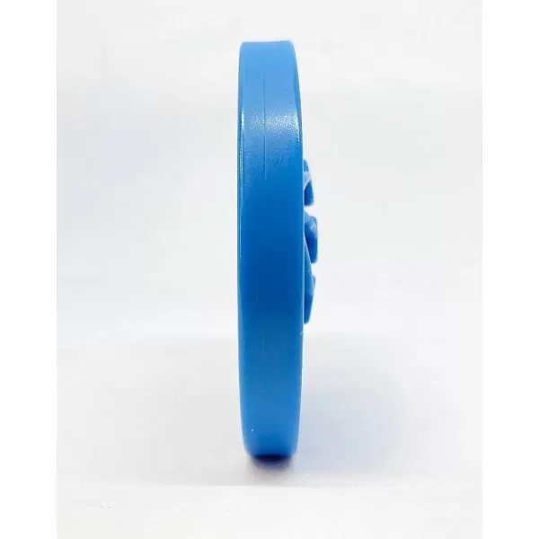 Ecoin Air Enrichment Nylon Snack Coin | Sodapup Best Sale