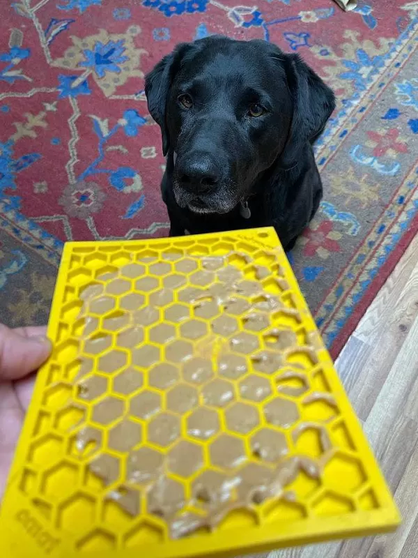 Honeycomb Enrichment Likmat | Sodapup Fashion