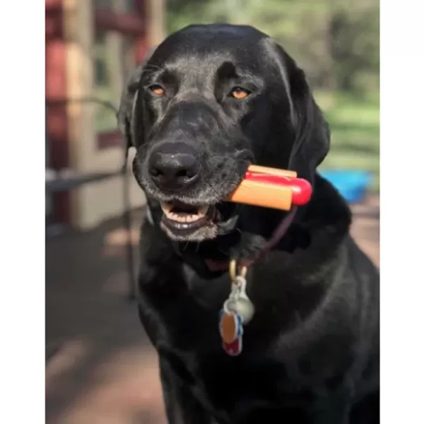 Hot Dog Durable Nylon Chew Toy | Sodapup Best