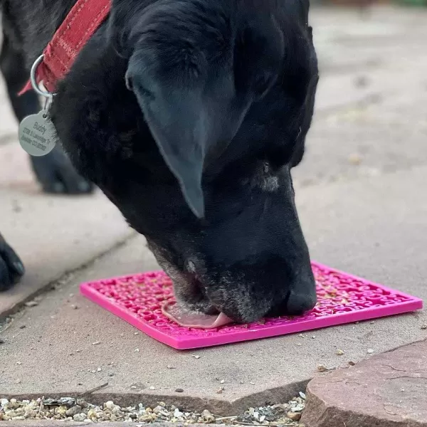 Jigsaw Enrichment Likmat | Sodapup Online