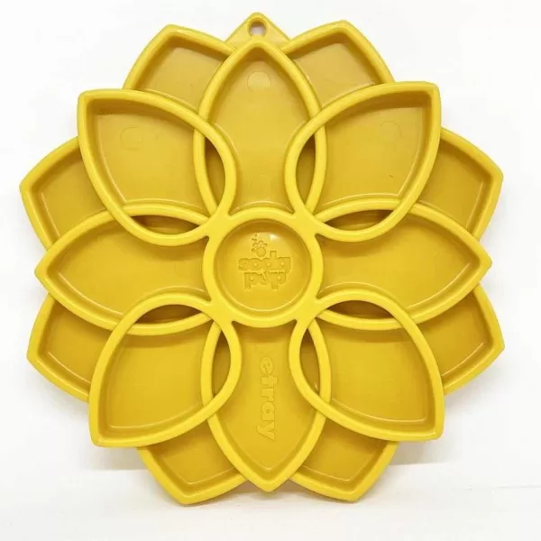 Mandala Enrichment Tray | Sodapup Store