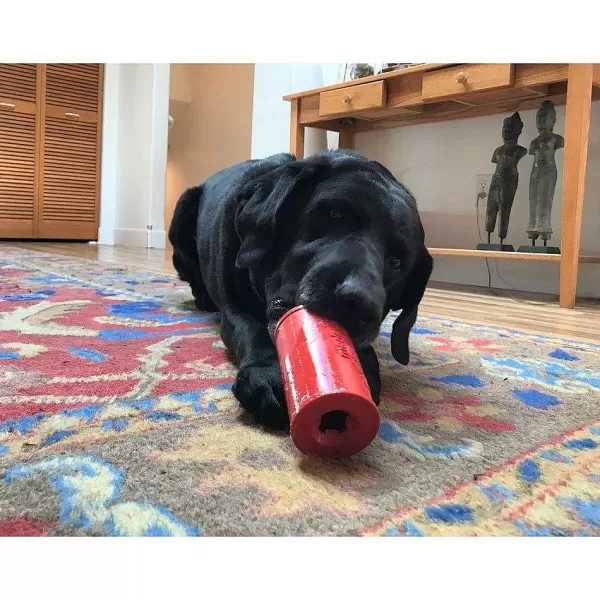 Retro Soda Can Toy & Treat Dispenser | Sodapup Sale