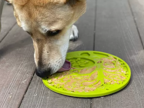 Tree Of Life Emat Enrichment Likmat Met Zuignappen | Sodapup Sale