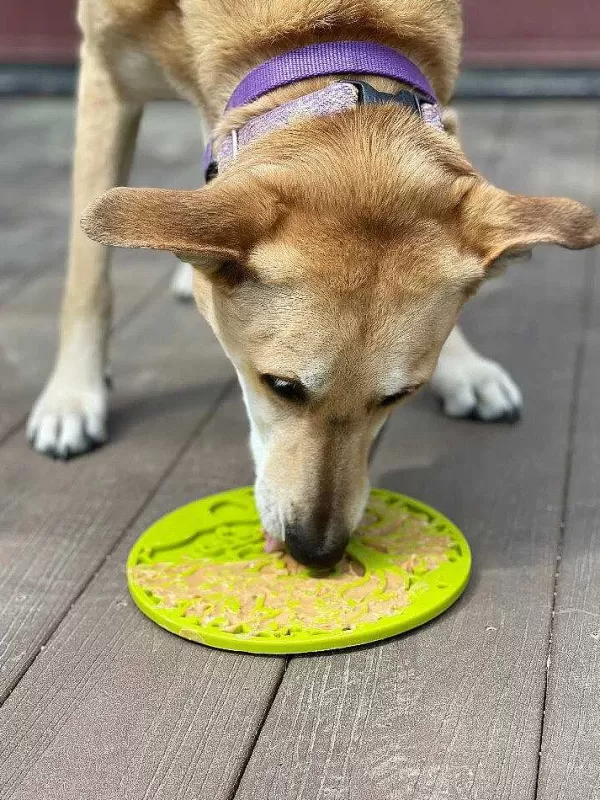 Tree Of Life Emat Enrichment Likmat Met Zuignappen | Sodapup Sale