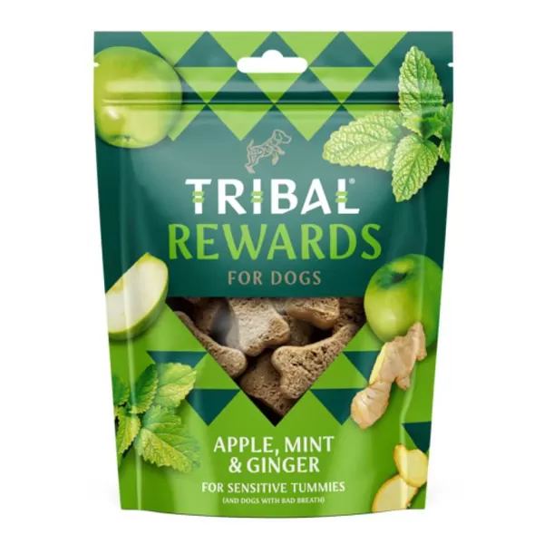 Koekjes Appel, Munt En Gember | Tribal Outlet