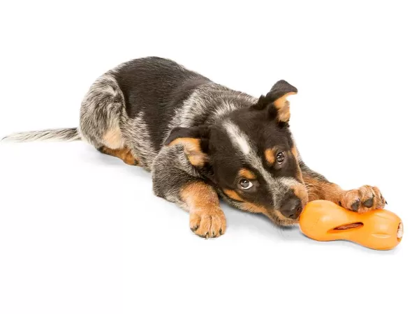 westpaw_westpaw_zogoflex_qwizl_7.webp Zogoflex Qwizl | Westpaw Outlet