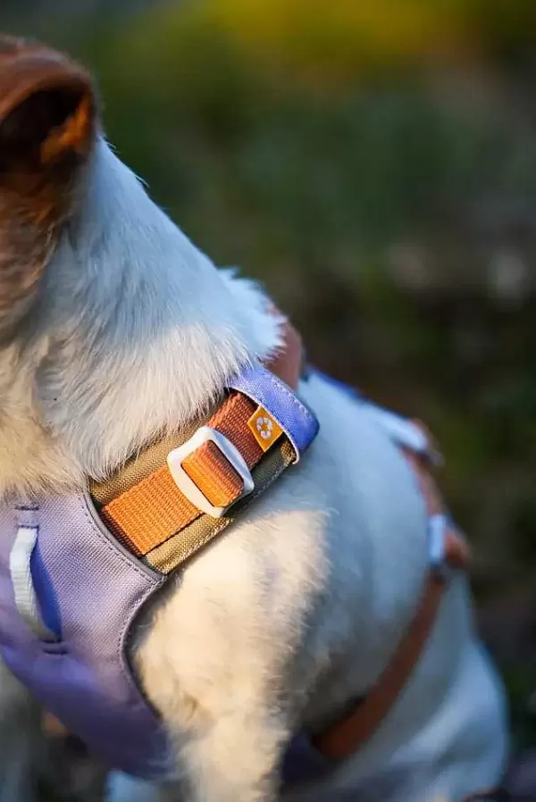 Alpha 360 Harness Lavender Mix | Woolly Wolf Outlet