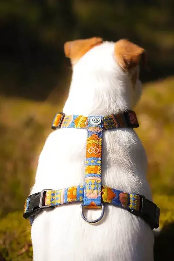 Nightless Night Harnas | Woolly Wolf Shop
