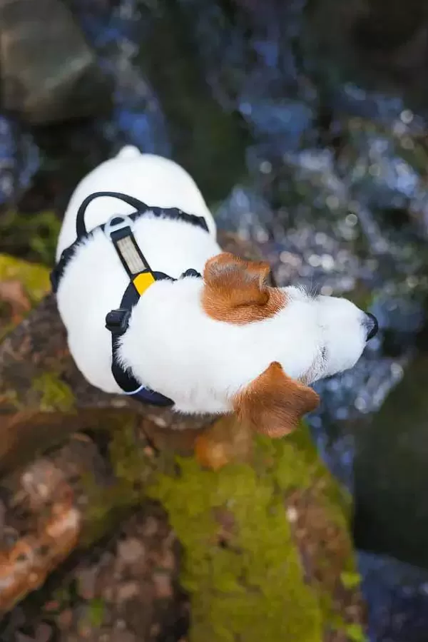 Roam Harnas Black Ripple | Woolly Wolf Store