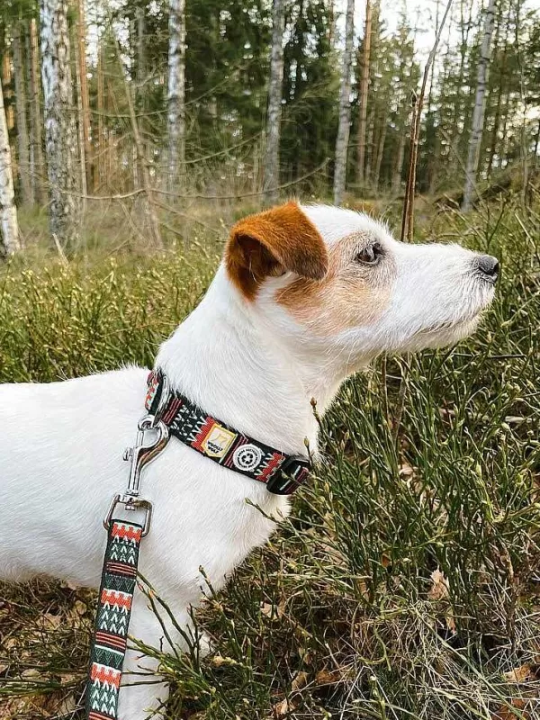 Woodland Halsband | Woolly Wolf Flash Sale